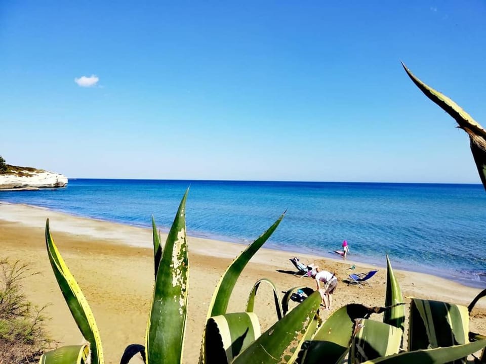 Casa la conchiglia sulla spiaggia House in Sicily