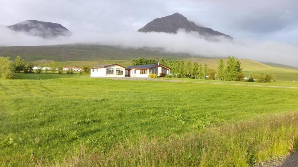 Flugumýri 2 Farm Stay in Iceland