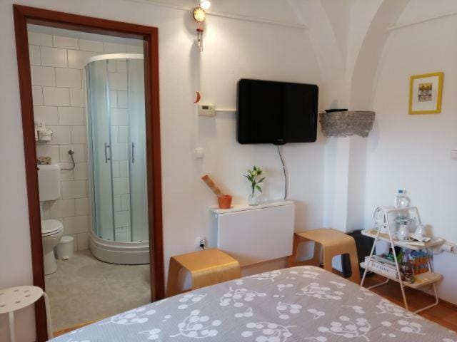 City center blue sky house Bed and Breakfast in Slovenia