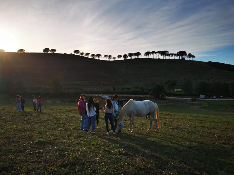 Property building, Spring, Day, People, Natural landscape, Summer, Horse-riding, View (from property/room), Animals, Pets, Guests, Garden view, Mountain view, Seasons, Sunset, children, group of guests, Inner courtyard view