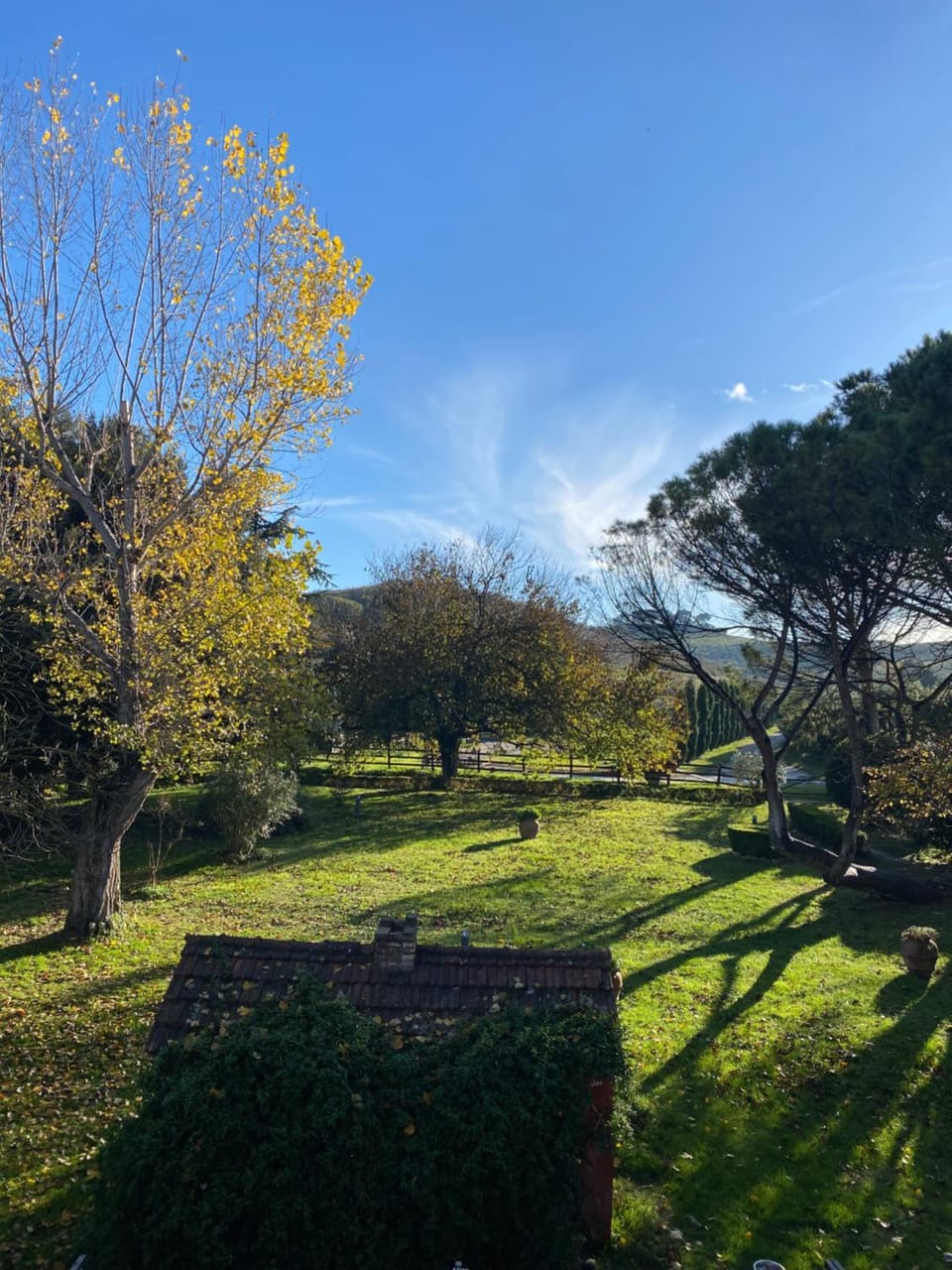 Property building, Day, Natural landscape, Winter, Garden, View (from property/room), Autumn, Garden view, Inner courtyard view