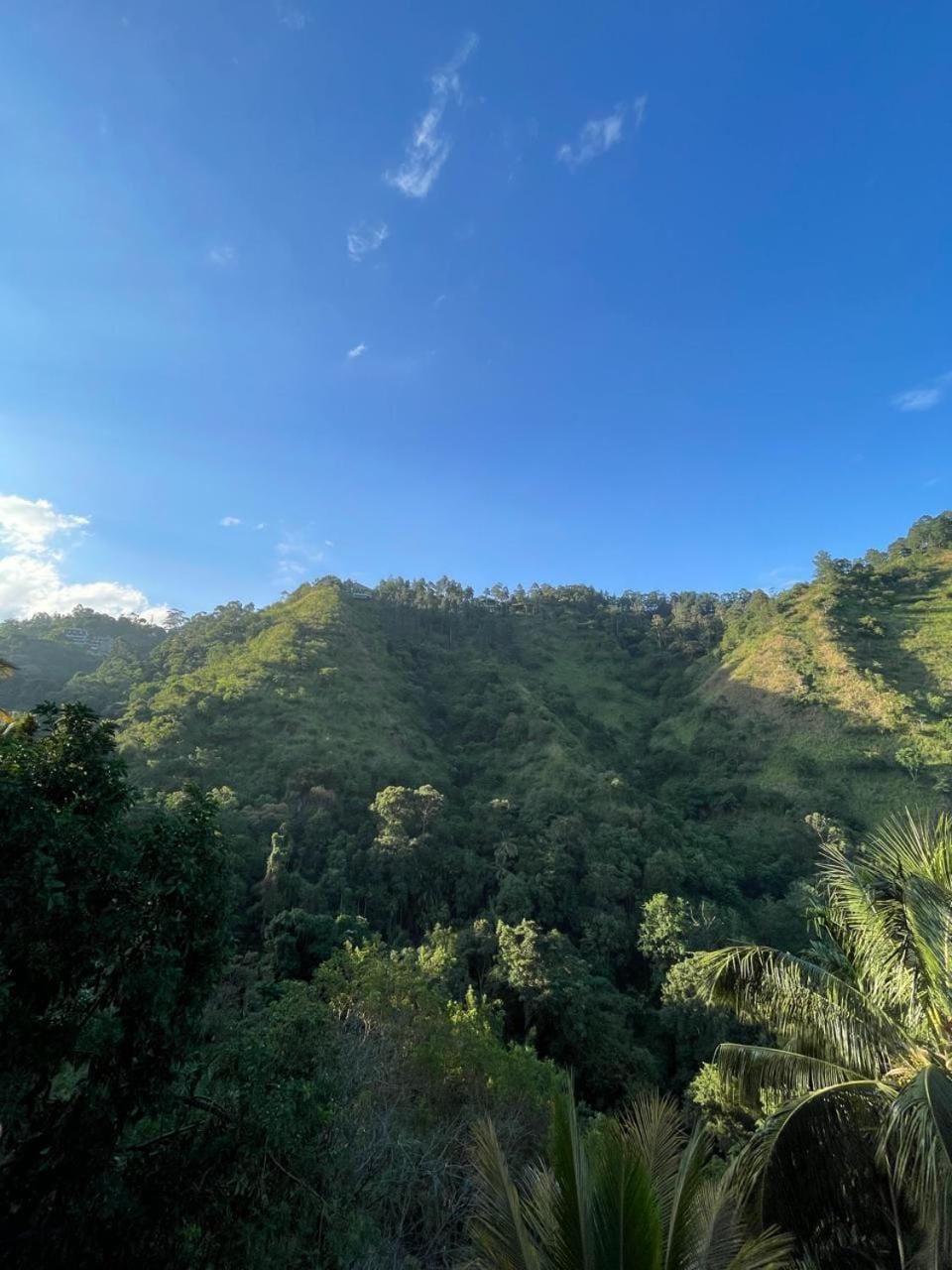 Mount Wood Ella Nature lodge in Ella