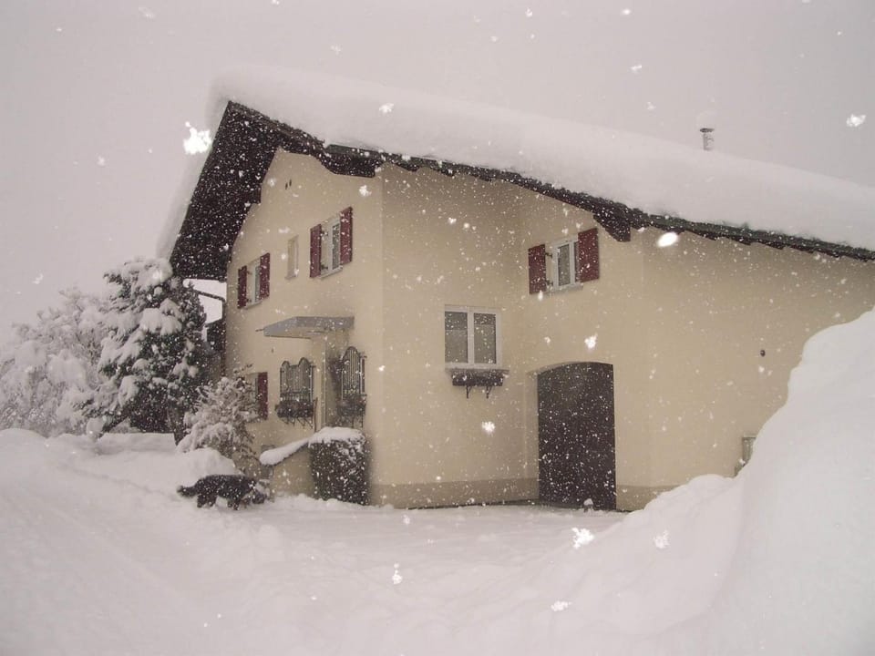 Property building, Winter