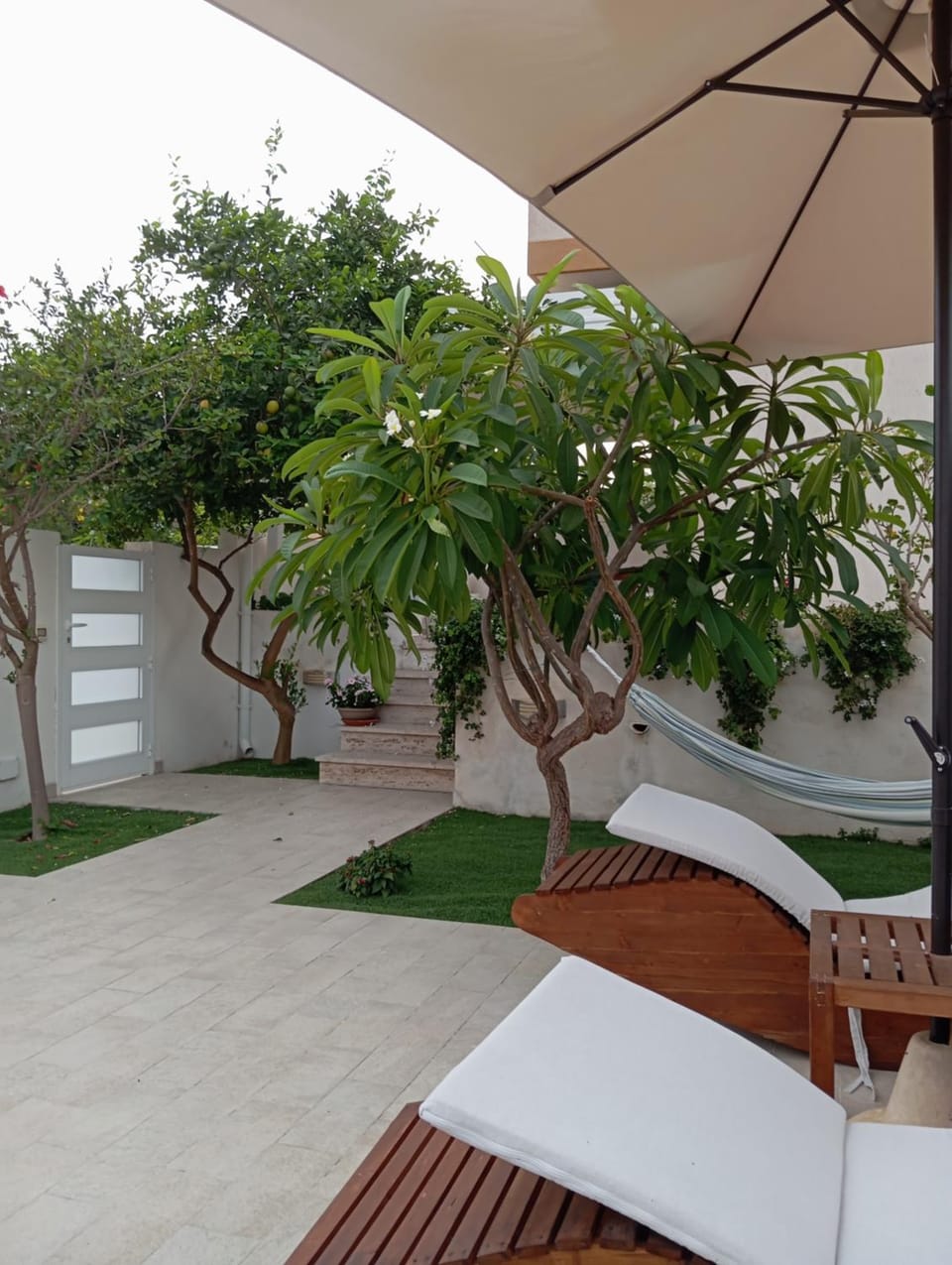 Patio, Garden view