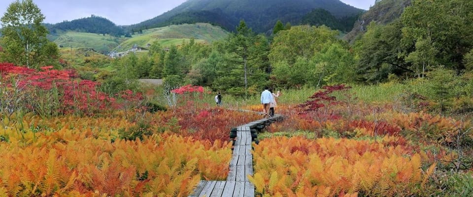 Autumn
