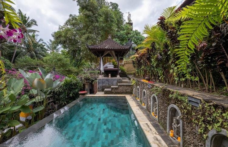 Natural landscape, Pool view, Area and facilities, Swimming pool