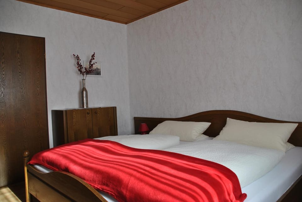 Ferienwohnungen Haus Else Apartment in Willingen