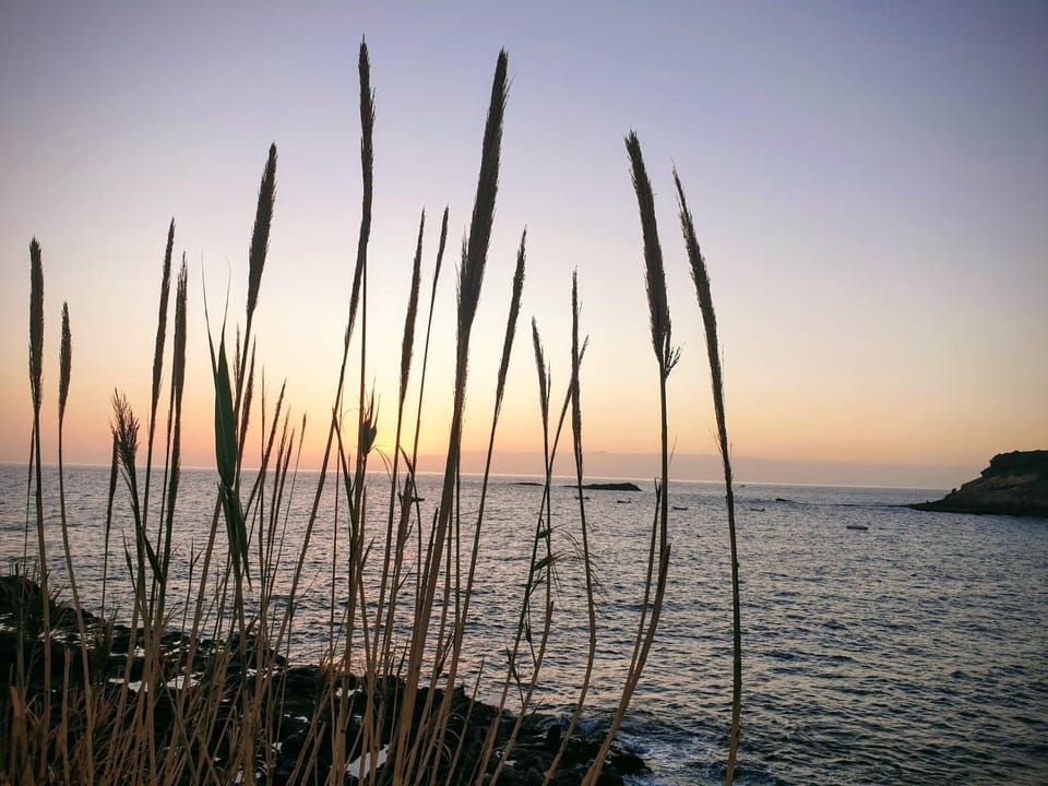 Natural landscape