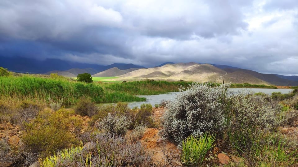 Natural landscape, Lake view