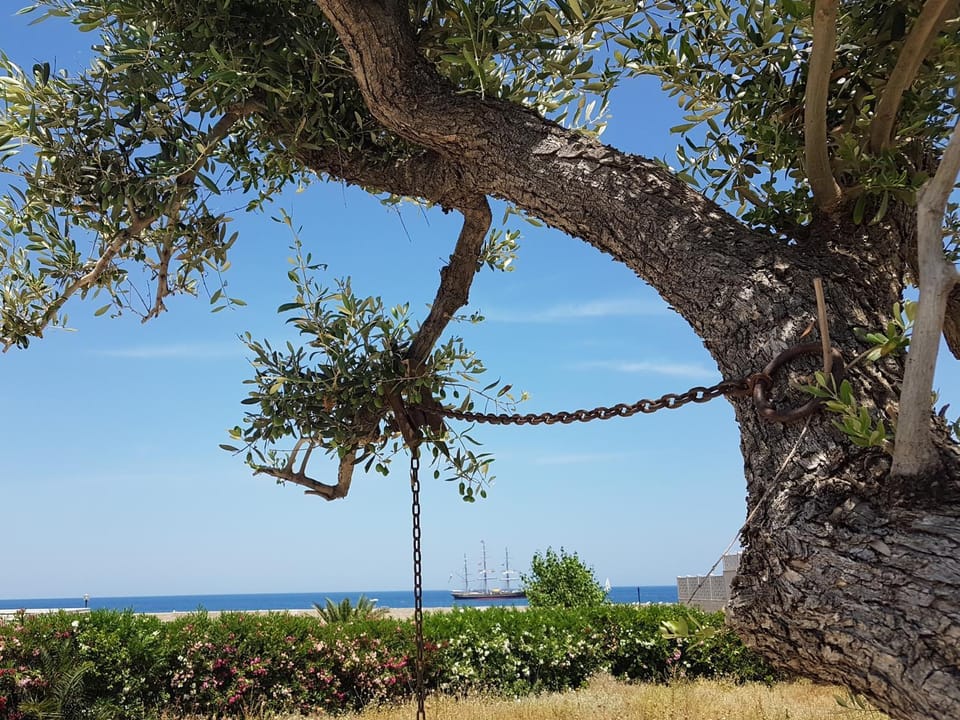 Bed & Breakfast del Faro Bed and Breakfast in Apulia
