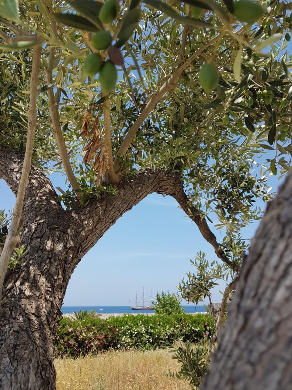 Bed & Breakfast del Faro Bed and Breakfast in Apulia