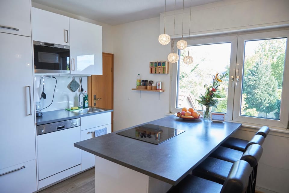 dishwasher, minibar, stove, kitchen