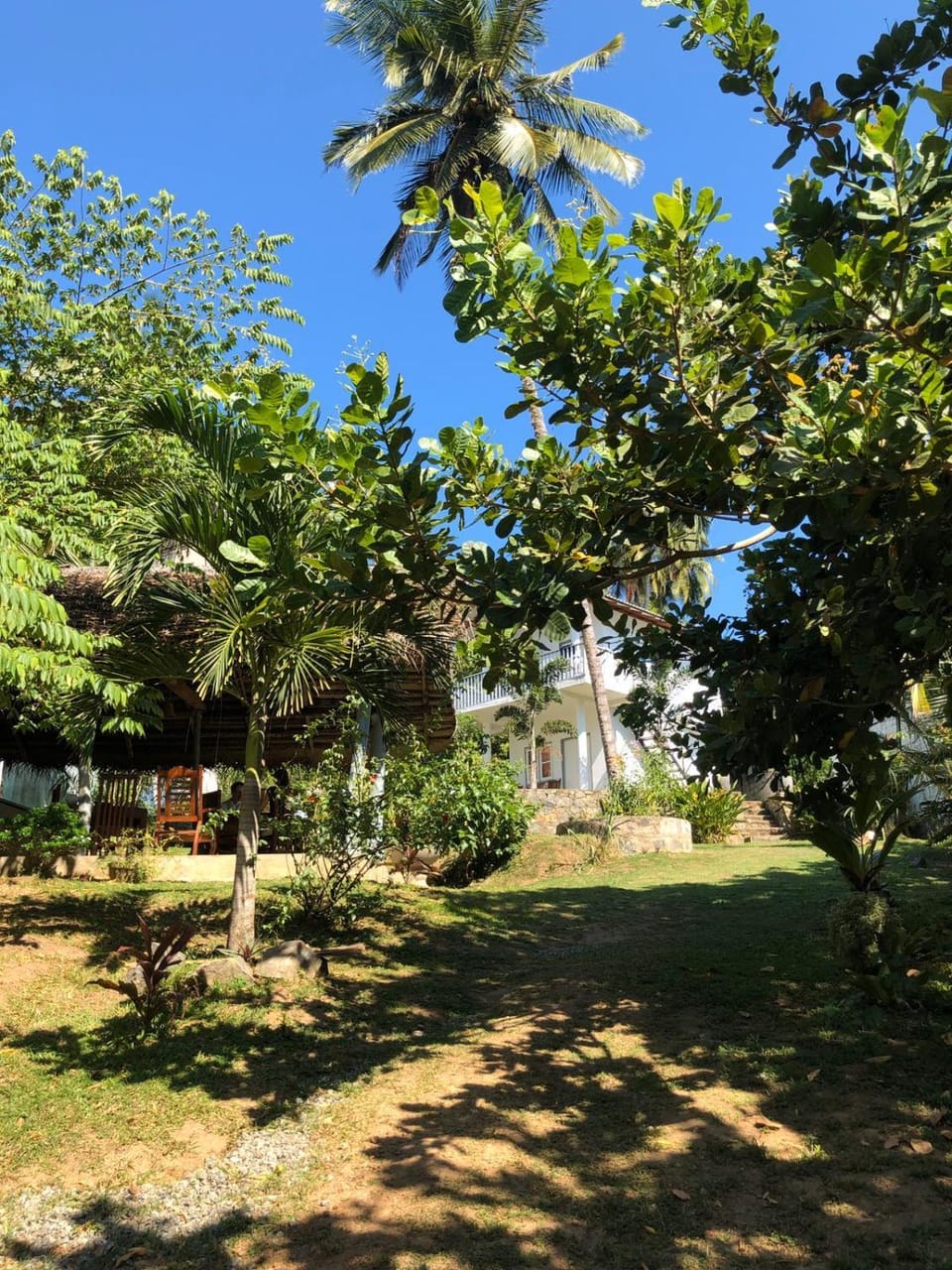 Hiru Villa Tangalle Bed and Breakfast in Tangalle