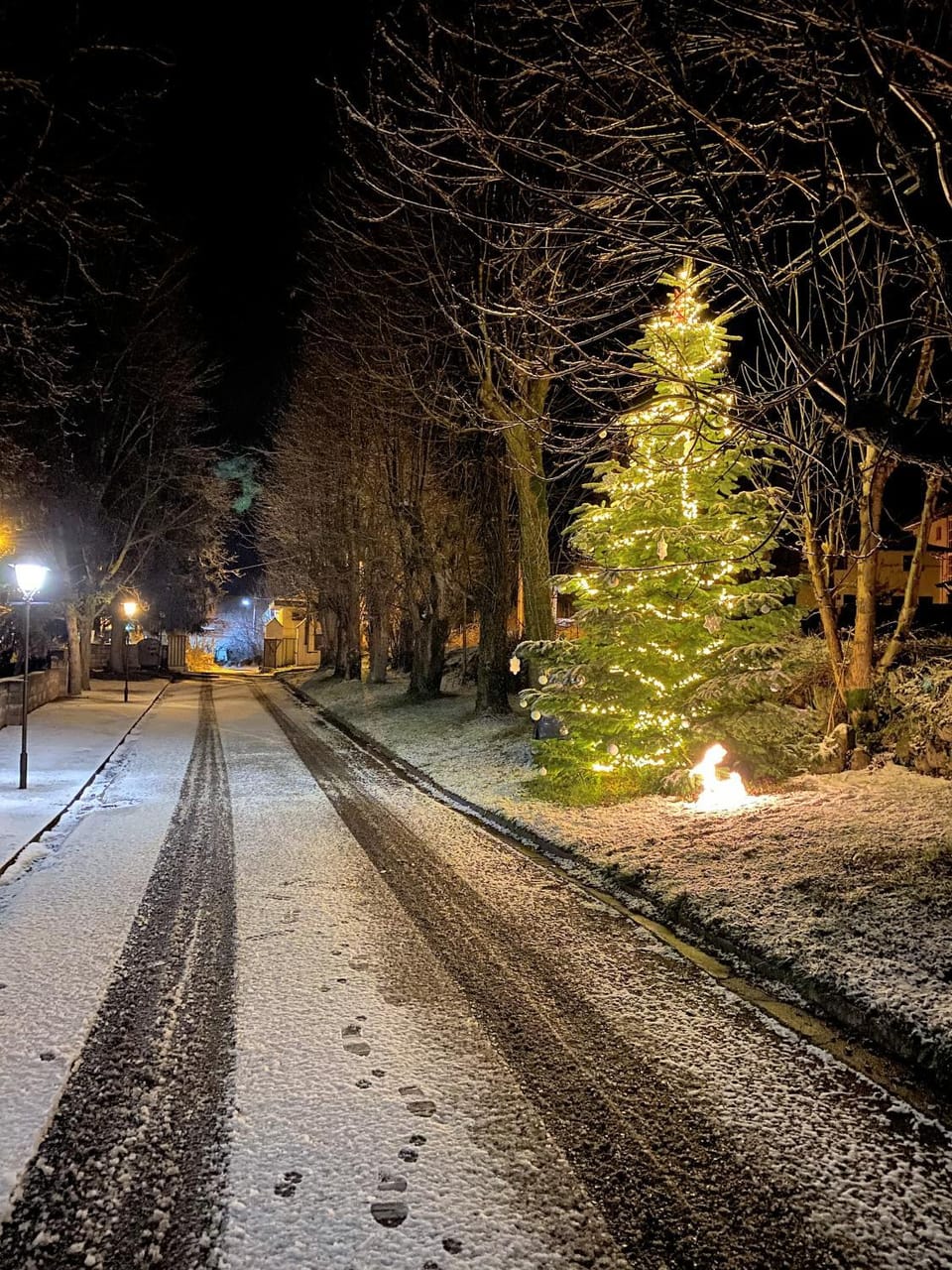 Natural landscape, Winter