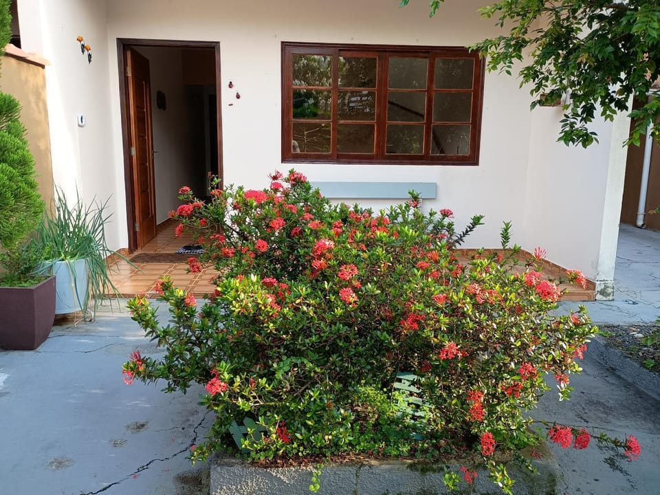 Bathroom, Garden view