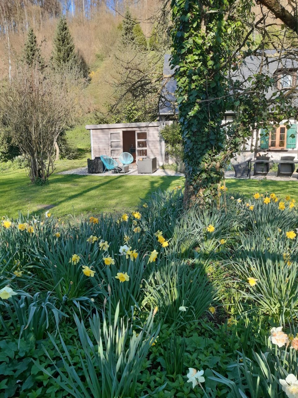 les orchidees sauvages House in Normandy