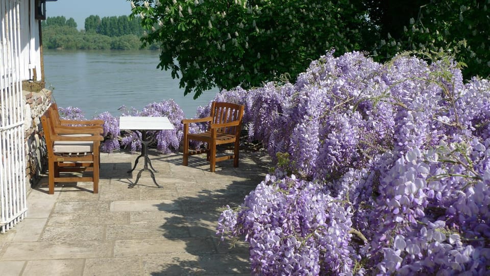 Patio, Day, River view, Sea view