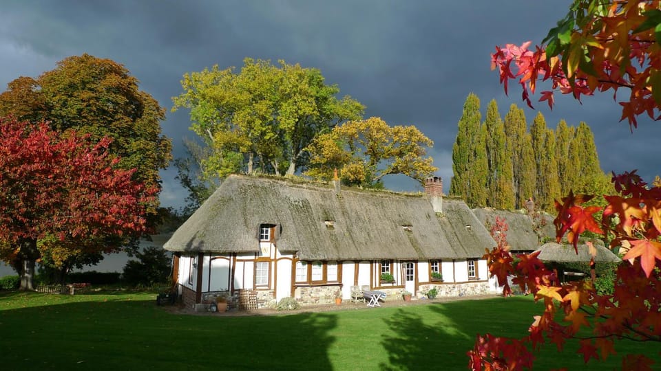 Property building, Garden