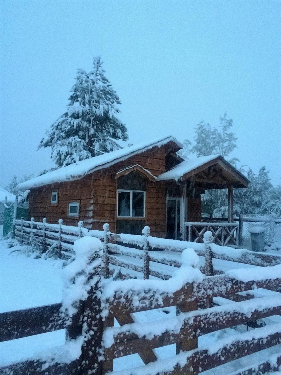 Winter