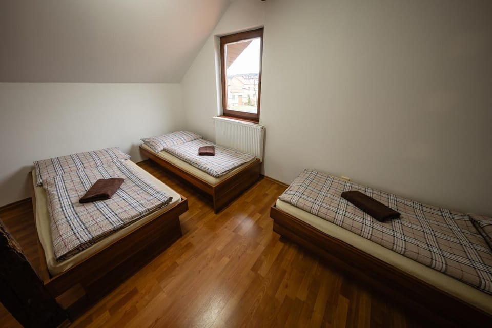 Penzion U Holuba Inn in Czechia