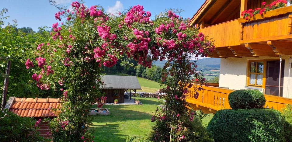 Property building, Garden, Garden view