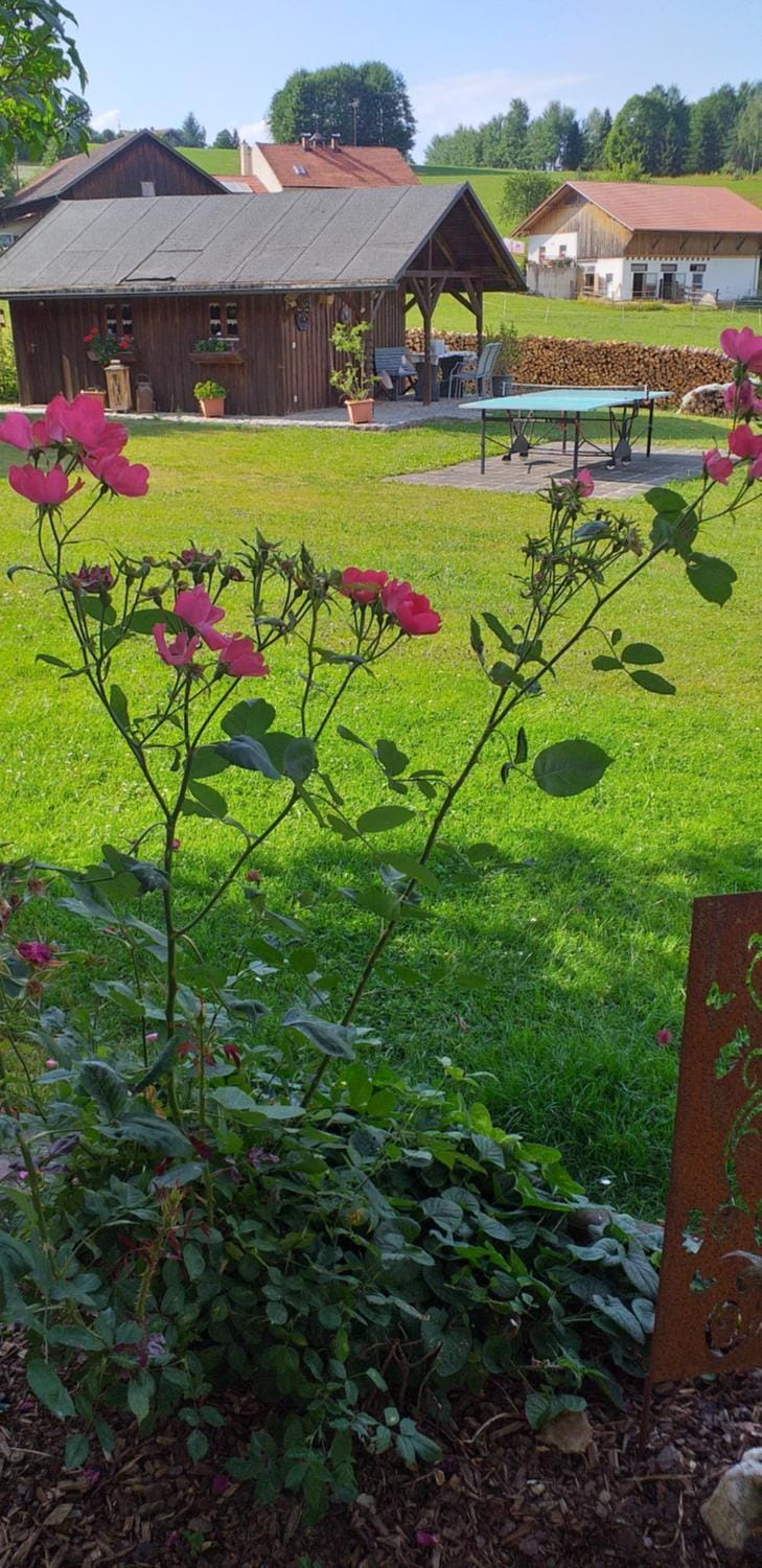 BBQ facilities, Garden, Garden view