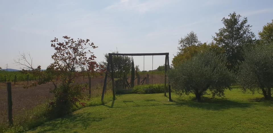 Activities, Children play ground, Garden