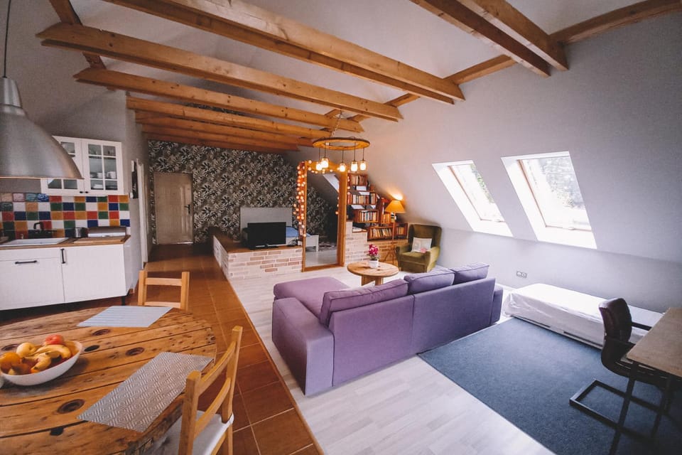 Day, Library, TV and multimedia, Kitchen or kitchenette, Living room, Photo of the whole room, Decorative detail, Seating area, Dining area