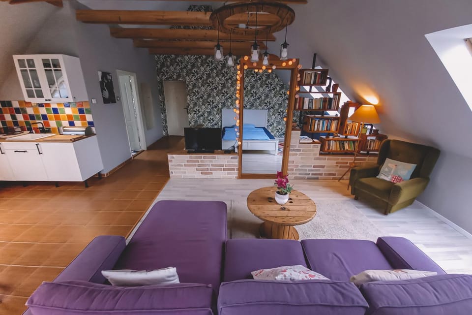 Day, Library, TV and multimedia, Kitchen or kitchenette, Living room, Photo of the whole room, Decorative detail, Seating area, Bedroom
