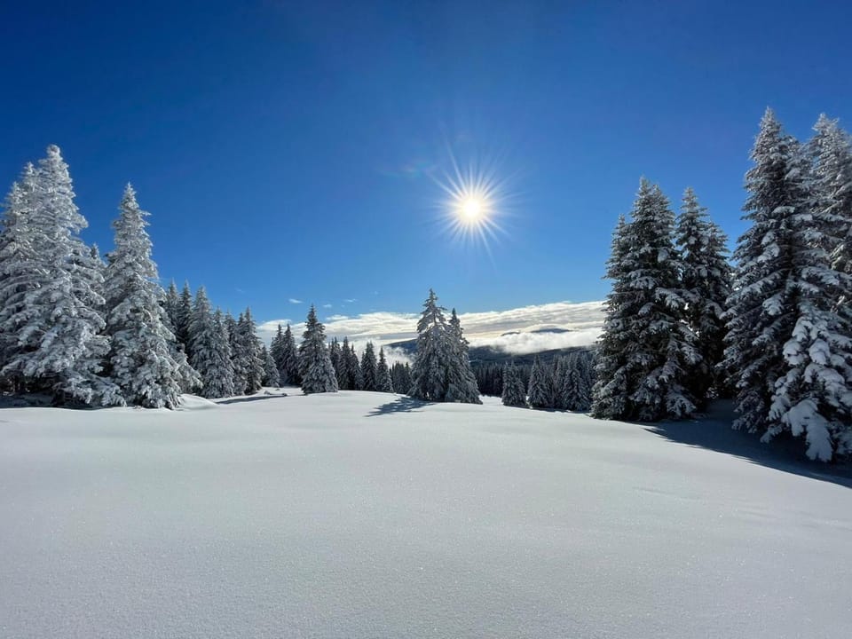 Natural landscape, Winter, Hiking