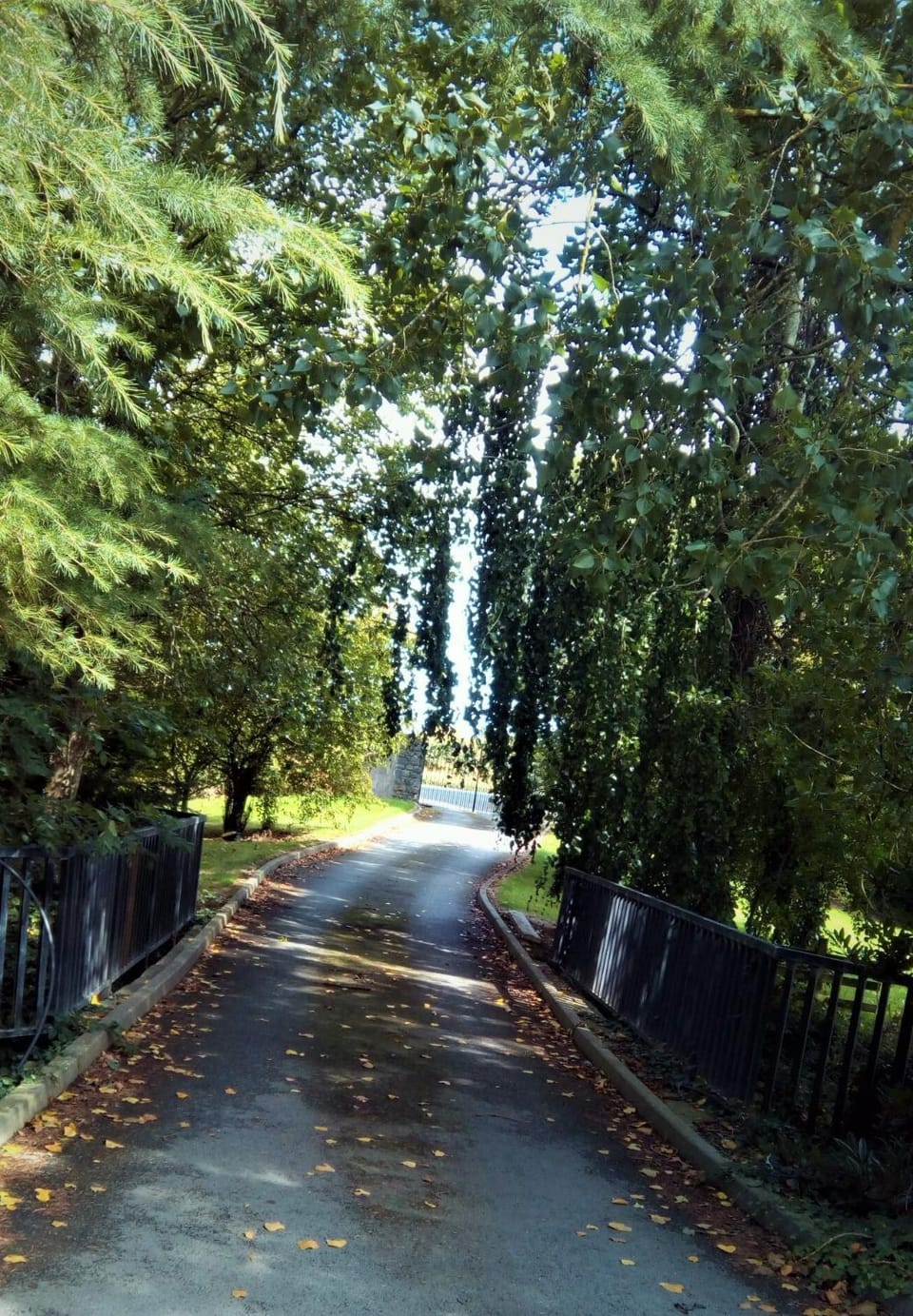 Delphi Lodge Apartment in County Dublin