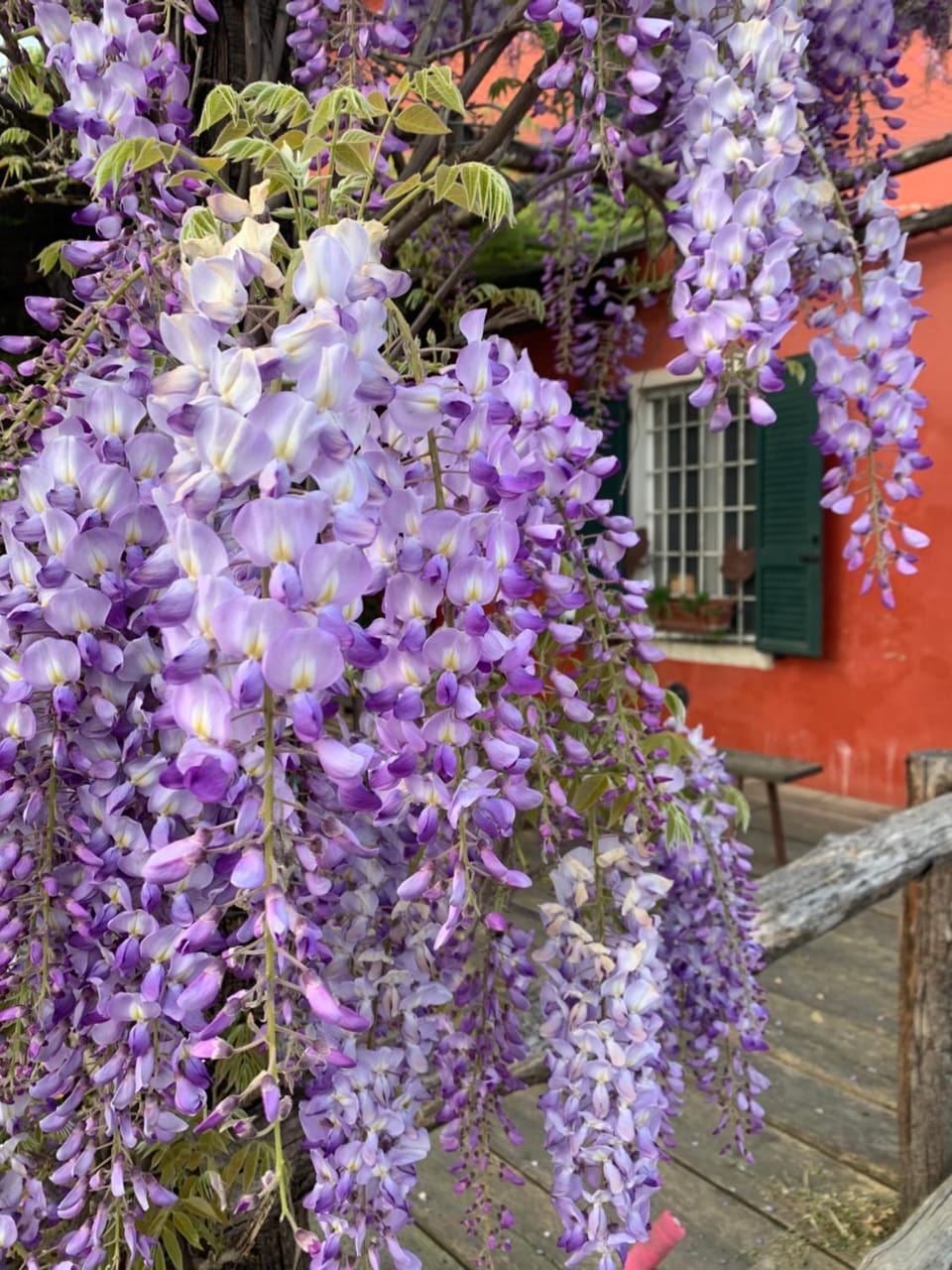 Fattoria Amelia Farm Stay in Emilia-Romagna
