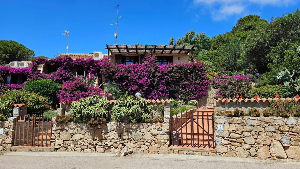 Property building, Garden, Garden view