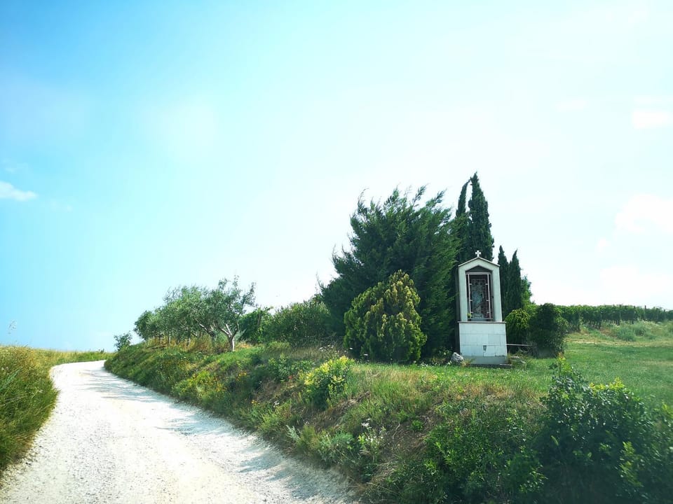 Neighbourhood, Natural landscape, Garden, Hiking, Hiking