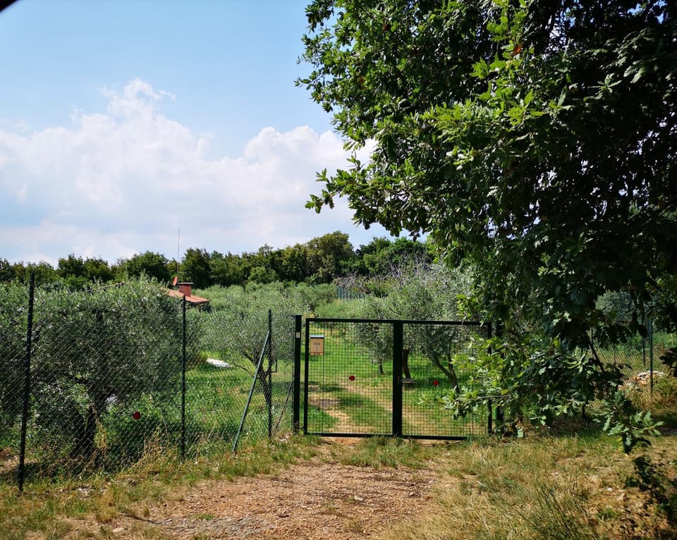 Facade/entrance, Hiking, On site