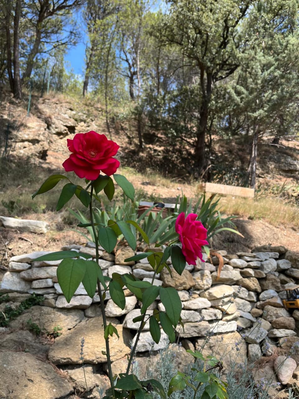 Chambre indépendante avec cuisine piscine clim au bonheur proche centre village #dentelles Montmirrail Vacation rental in Provence-Alpes-Côte d'Azur