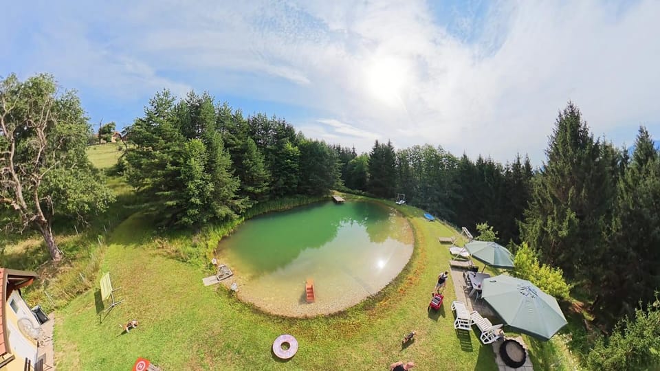 People, Natural landscape, Swimming pool, group of guests, sunbed