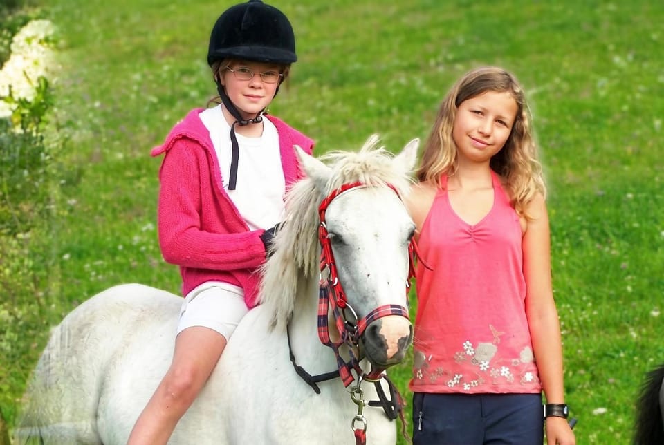 Children play ground, Horse-riding, Animals, children, group of guests