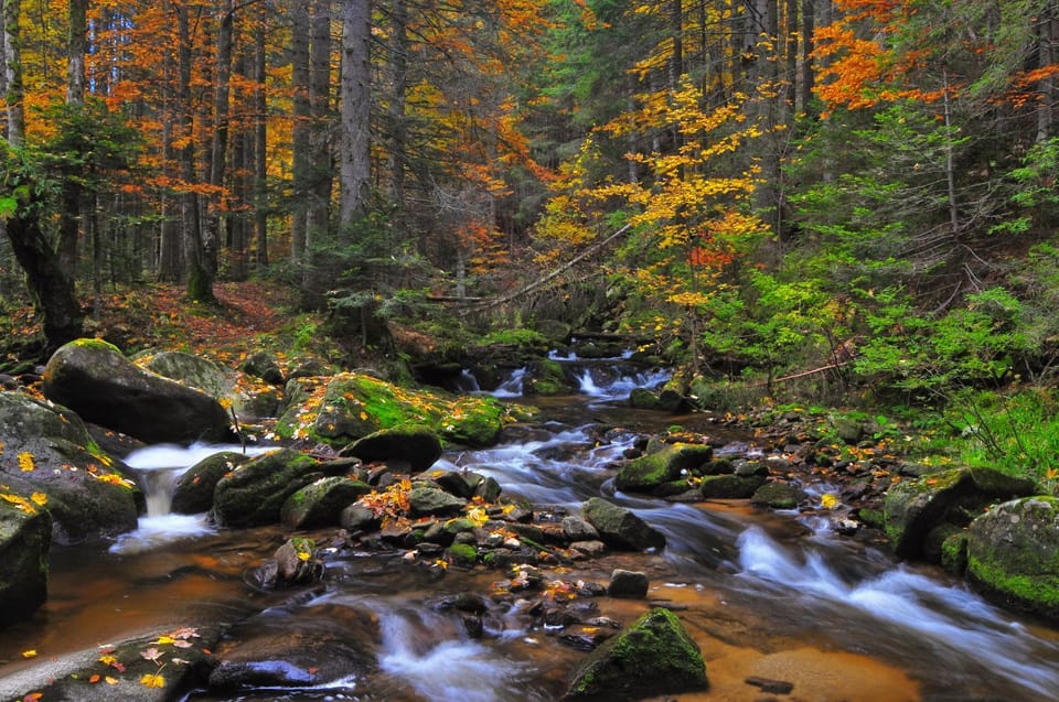 Spring, Day, Hiking, Cycling, Autumn