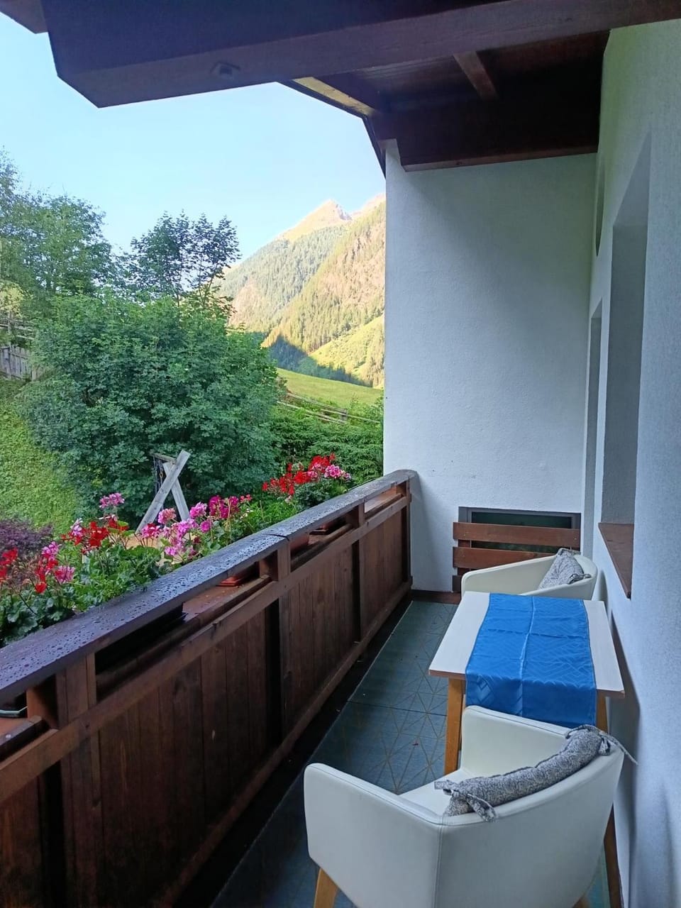View (from property/room)