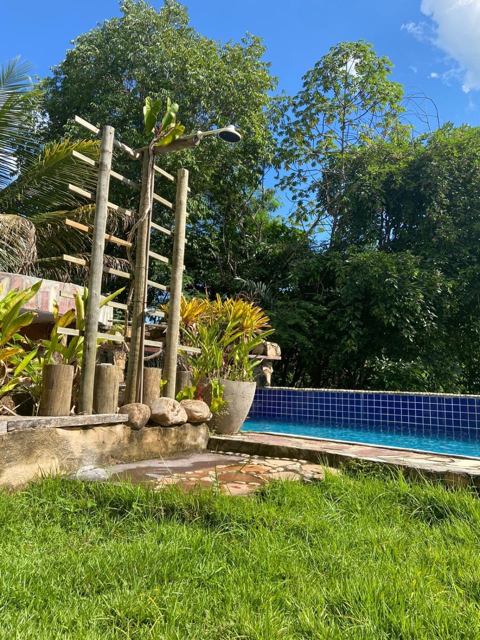 Garden, Pool view, Swimming pool