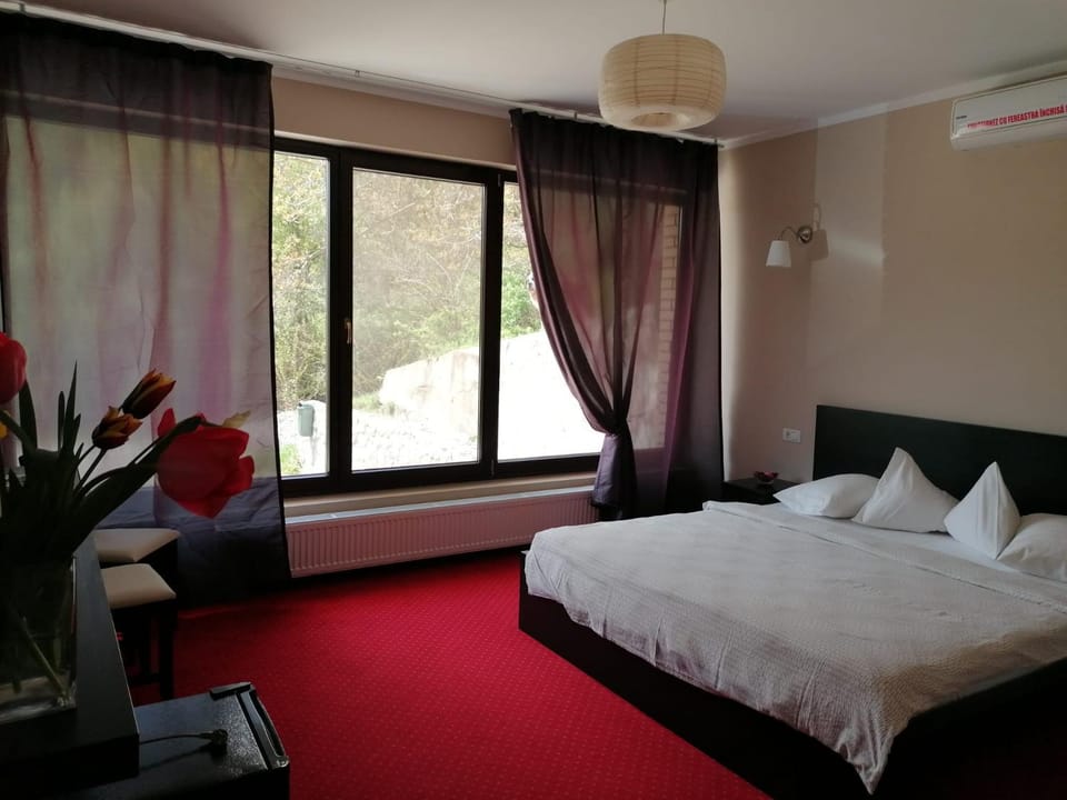 Pensiunea Decebal Resort - Cazanele Dunarii Bed and Breakfast in Serbia