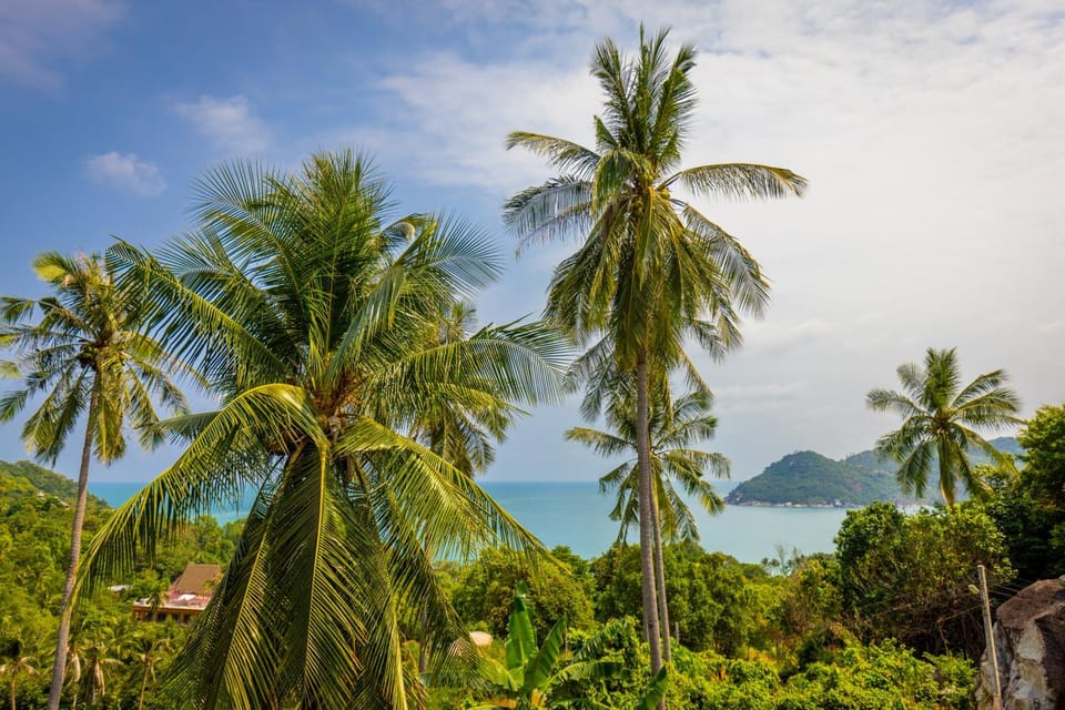 Sea view