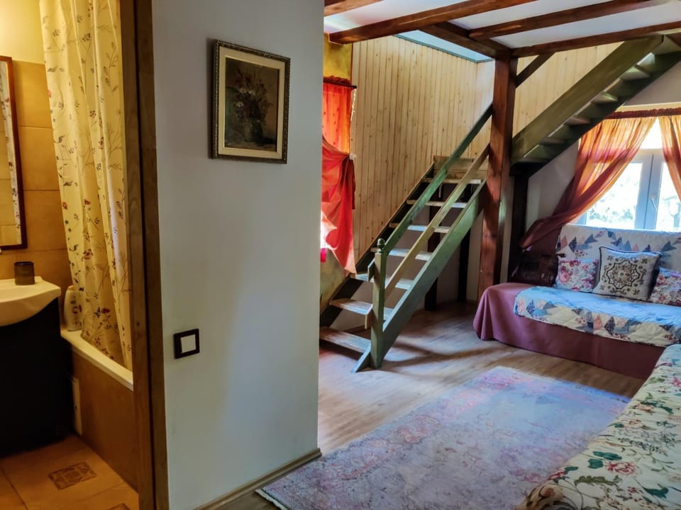 Garden House Villa in Romania