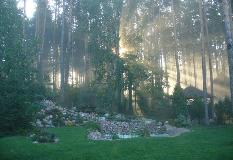 Natural landscape, Garden view, Sunrise