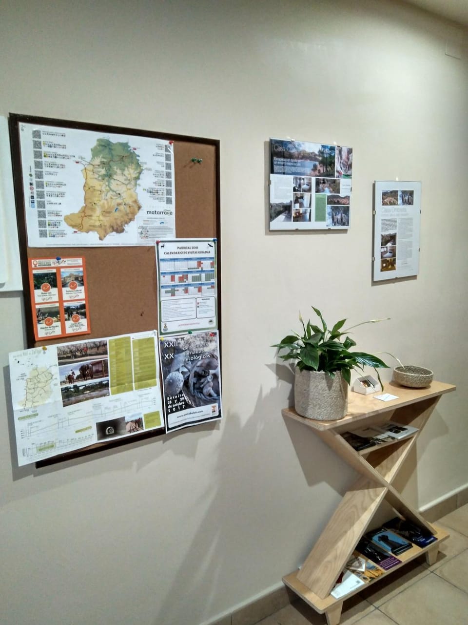 Area and facilities
