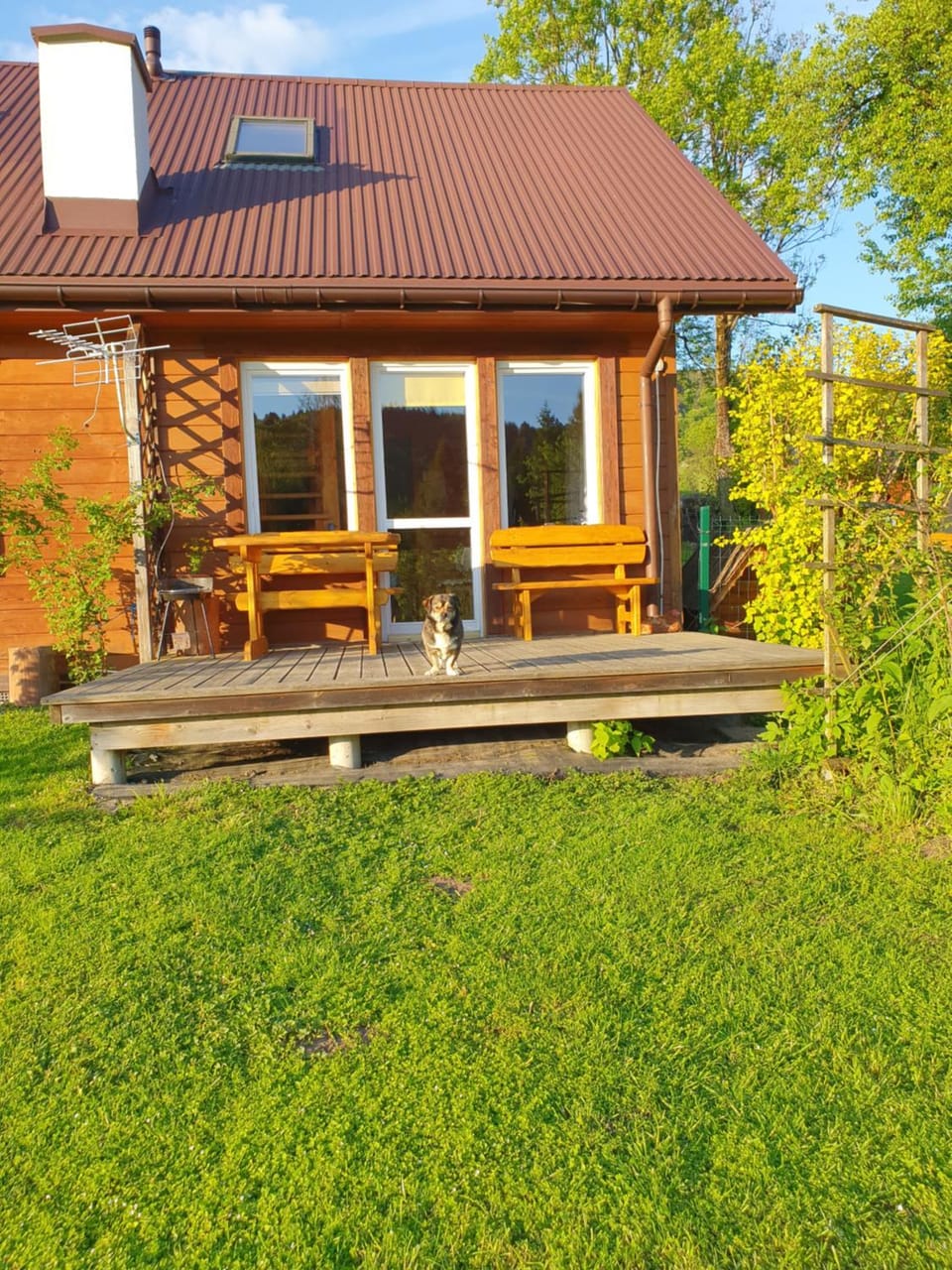 Property building, Spring, Day, Natural landscape, Garden, Garden view