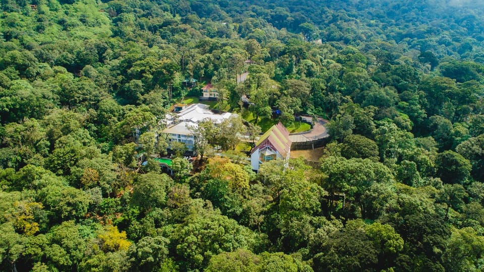 Property building, Bird's eye view