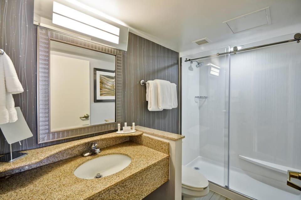 Shower, Toilet, Bathroom, towels