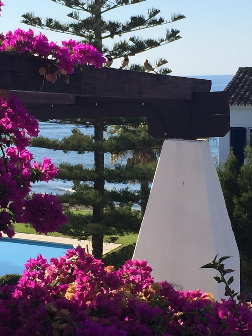apartment by the beach Apartment in Sitio de Calahonda